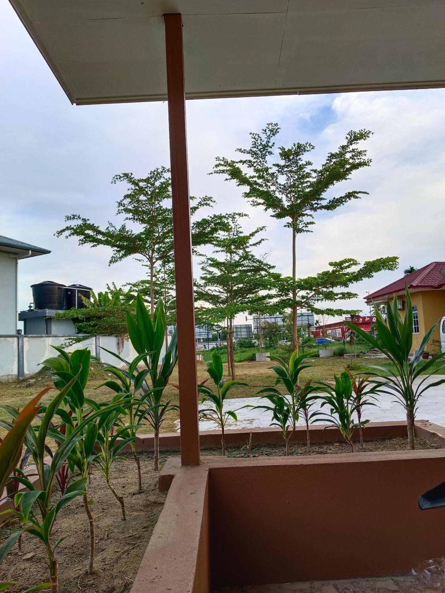 Alfa Roomstay Pantai Cenang  Dış mekan fotoğraf